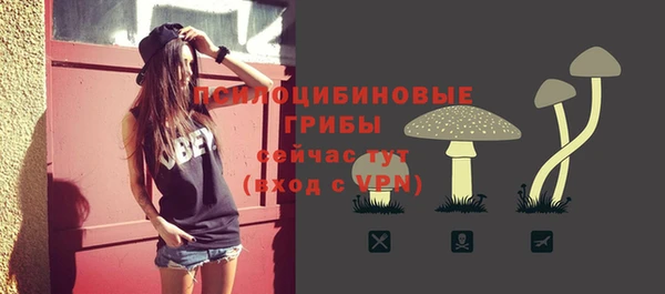 мескалин Алексин