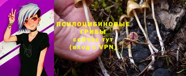 каннабис Алексеевка