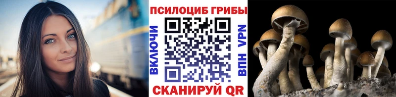 даркнет сайт  Красноуральск  Галлюциногенные грибы Psilocybe 